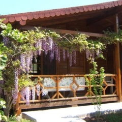 Windmolen Apart Bungalows - Bild 5