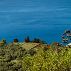 Yades Villas Lefkada thumbnail 3