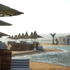 Coral Beach Resort - Bild 26