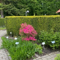 Appartementhof Stadler - Bild 3