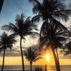 Umadewi Surf & Retreat - Bild 18