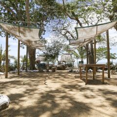 Vatia Beach Lodge in Viti Levu, Fiji from 111$, photos, reviews - zenhotels.com photo 35