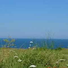Sunny Island Chernomorets thumbnail 10