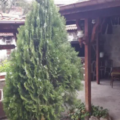 Guest House Zlatinchevi thumbnail 9