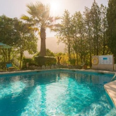 Finca Ca'n Coll - Bild 14