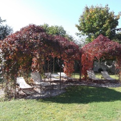Hotel Juwel - Bild 9