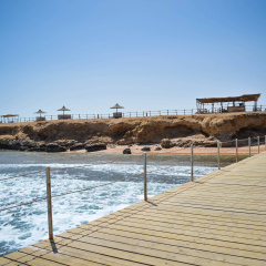 Viva Blue Resort and Diving Sharm El Naga (Adults Only) - Bild 29
