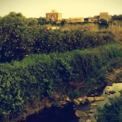 Zahara thumbnail 15