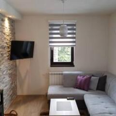 Apartments Jahorina Vila IN in Jahorina, Bosnia and Herzegovina from 736$, photos, reviews - zenhotels.com photo 4