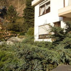 Ferienhaus Berenz-Mühle - Bild 5