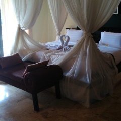 Royal Pool Villa Club - Bild 3