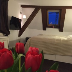 Pension Karina Schwerin - Bild 6