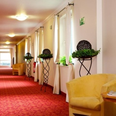 Wunsch Hotel Mürz - Natural Health & Spa Hotel - Bild 14