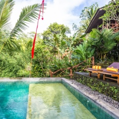 DD Ubud Villa - Bild 11