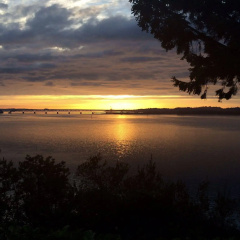 Bay Bridge Motel thumbnail 22