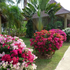 Lanta Castaway Beach Resort - Bild 19