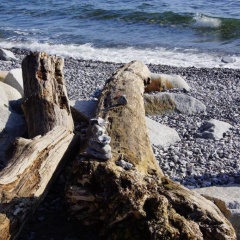 Urlaub auf der Insel Rügen - Bild 2