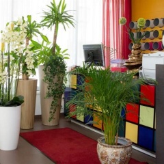 A&T Hotel & Hostel - Bild 2