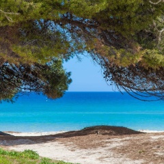Formentera 2 - Bild 11