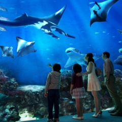 Genting Hotel Jurong - Bild 30