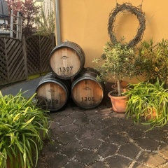 Kappes-Koppelkamm - Bild 3