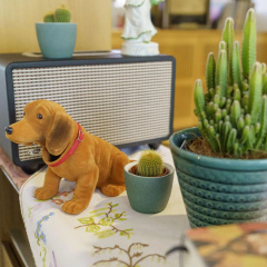 Tante ALMA’s Bonner Hotel - Bild 8