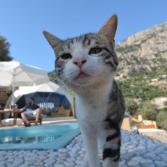 Kabak Freedom Deluxe Hotel - Bild 11
