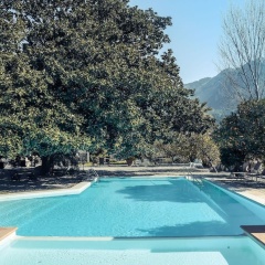 Finca Cas Sant - Bild 13