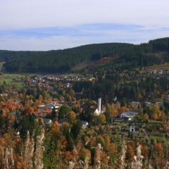 Ferienwohnung am Eisweiher - Bild 8