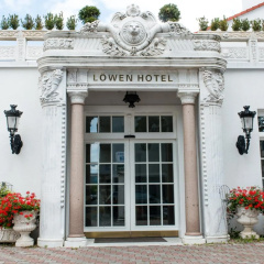 Löwen - Bild 1