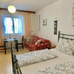 Grazer Spatz - Bild 2