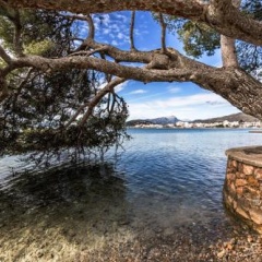 Tamarells 1 - Bild 18