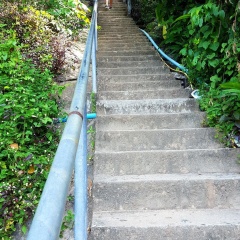 Phi Phi Arboreal Resort - Bild 11