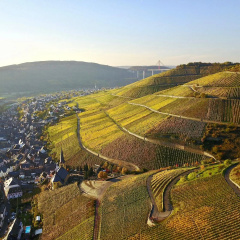 Bernkasteler Moselpanorama - Bild 10