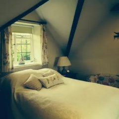 Yew Tree Cottage thumbnail 13