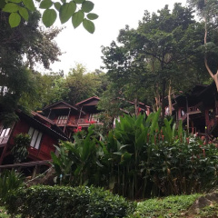 Phi Phi Green Hill Resort - Bild 14