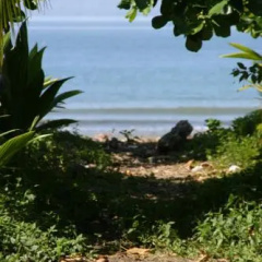 Hakuna Matata Hostel thumbnail 16