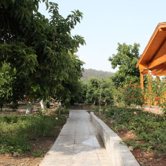 Apella Hotel - Bild 2