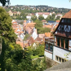 Am Schnbuchrand - Bild 1