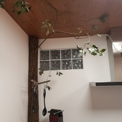 Gästehaus Fulda - Bild 13