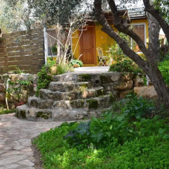 The OLive Tree thumbnail 9