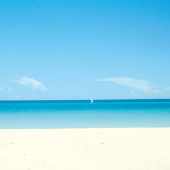 Hotel Riu Concordia - Bild 21