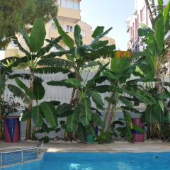 Hotel Lunay - Bild 18