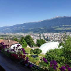 Alpendohle Apartments Innsbruck - Bild 2