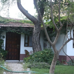 Arya Holiday Houses - Bild 12