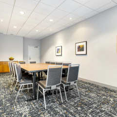 Hampton Inn & Suites Dallas/Plano-East thumbnail 45