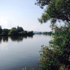 Maxhof Trier - Bild 14