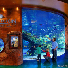Silverton Casino Lodge - Newly Renovated - Bild 28