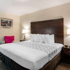 Rodeway Inn near Hollywood Beach in Hollywood, United States of America from 126$, photos, reviews - zenhotels.com photo 24