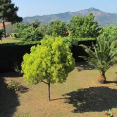 La Terrazza (App.4) thumbnail 3